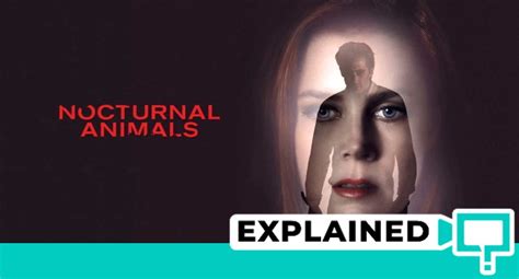 nocturnal animals explained reddit.